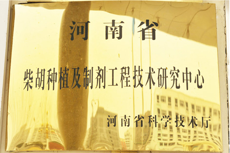 研發(fā)基地